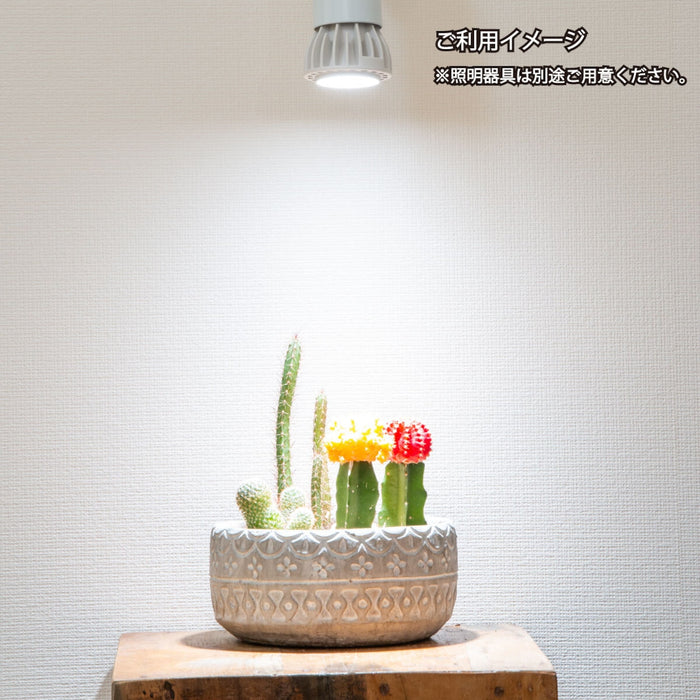 Chispa 観葉植物育成LEDライト