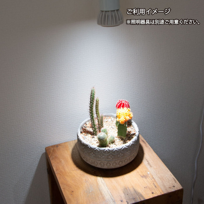Chispa 観葉植物育成LEDライト