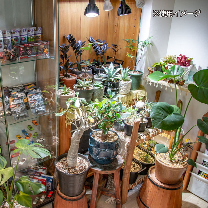 Chispa 観葉植物育成LEDライト