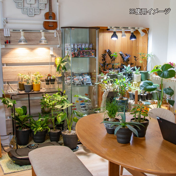 Chispa 観葉植物育成LEDライト