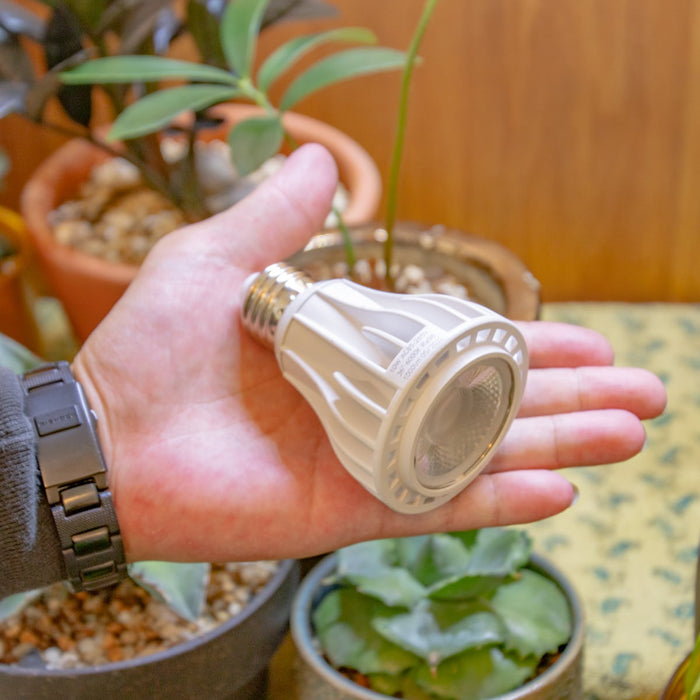 Chispa 観葉植物育成LEDライト