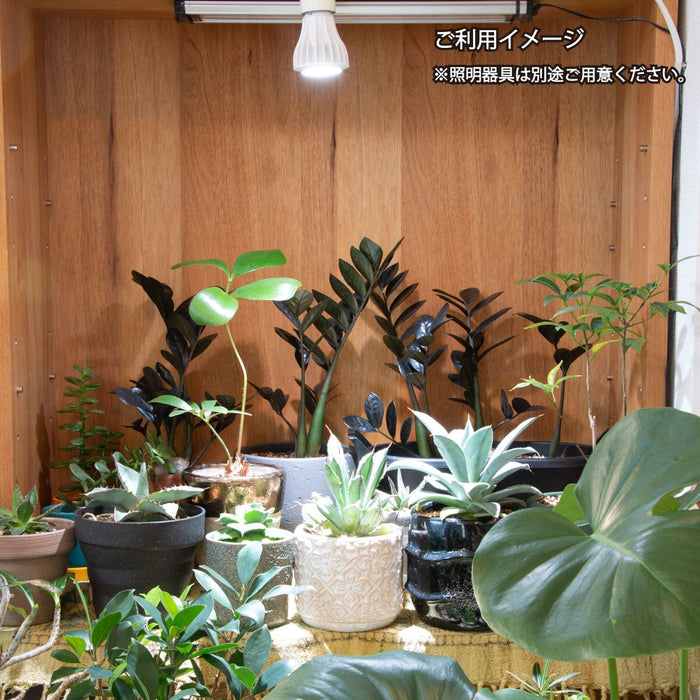Chispa 観葉植物育成LEDライト