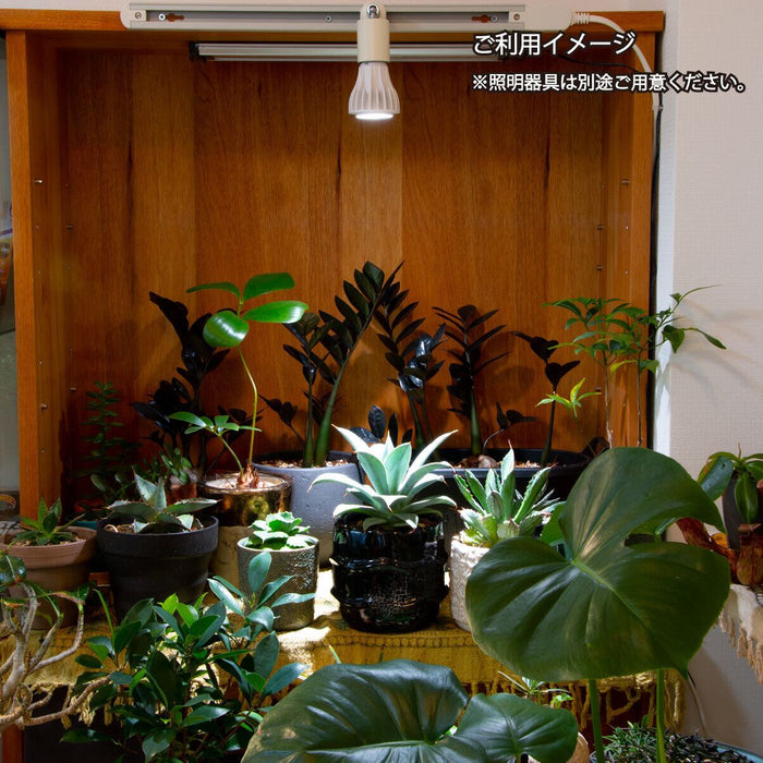 Chispa 観葉植物育成LEDライト