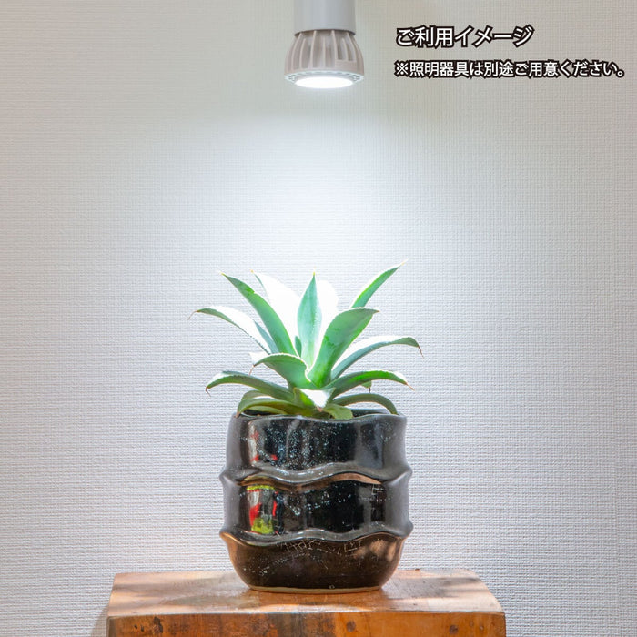 Chispa 観葉植物育成LEDライト