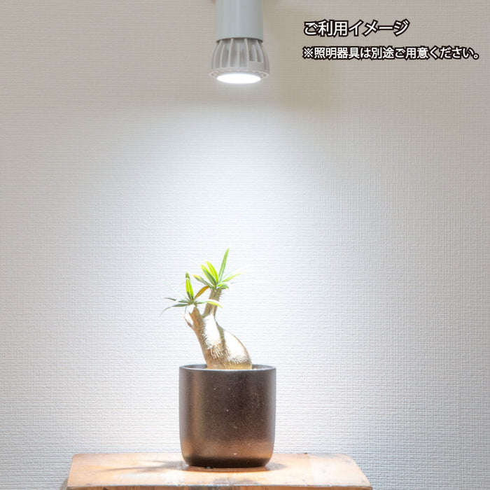 Chispa 観葉植物育成LEDライト