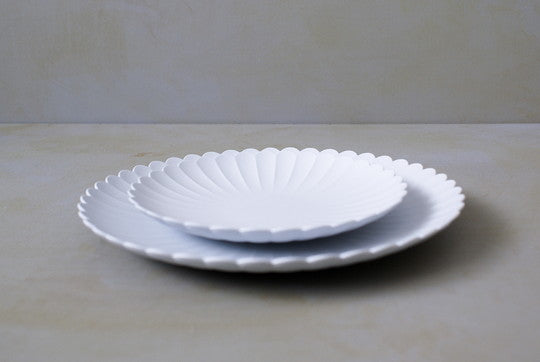 1616 / arita japan  TY Palace 220 Ø227×H23.5mm